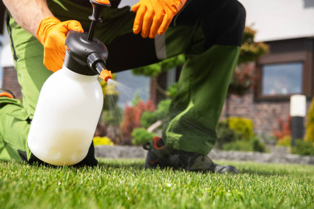 Best Best Pest Control Companies  in Green Meadows, OH