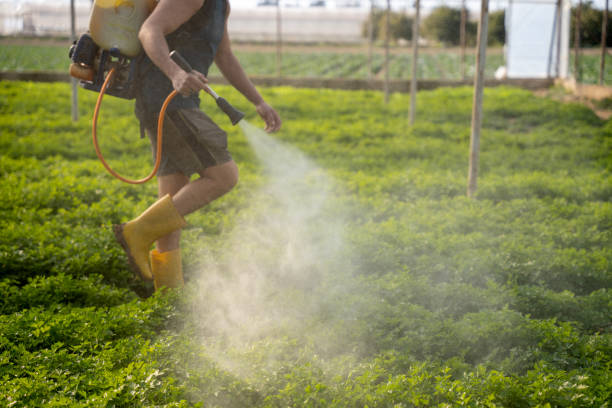 Best Pest Prevention Services  in Green Meadows, OH