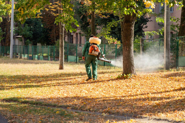 Best Bird Control  in Green Meadows, OH
