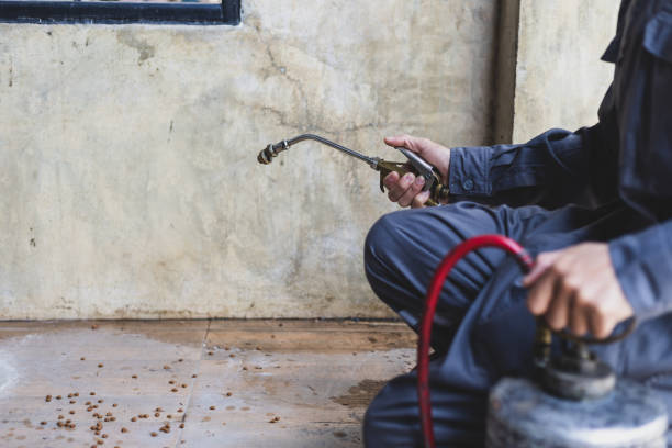 Best Pest Control Near Me in Green Meadows, OH