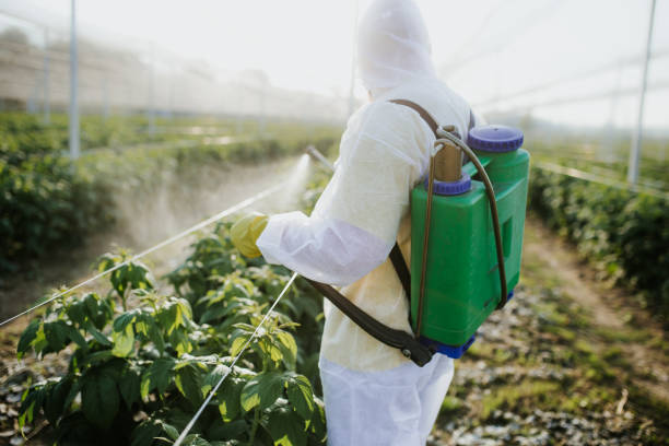 Professional Pest Control in Green Meadows, OH